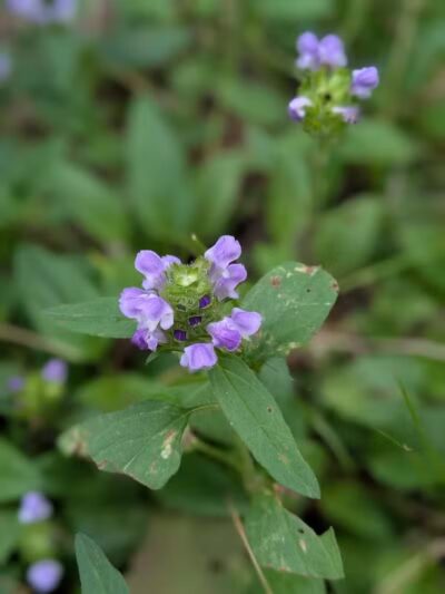 76th St Trailhead NCT - Baldwin, MI