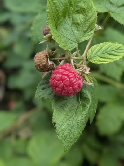 76th St Trailhead NCT - Baldwin, MI