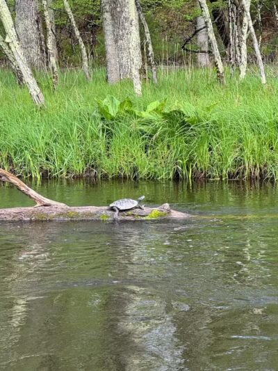 Baldwin Canoe Rental & RV Park - Baldwin, MI