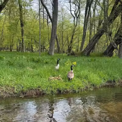 Baldwin Canoe Rental & RV Park - Baldwin, MI
