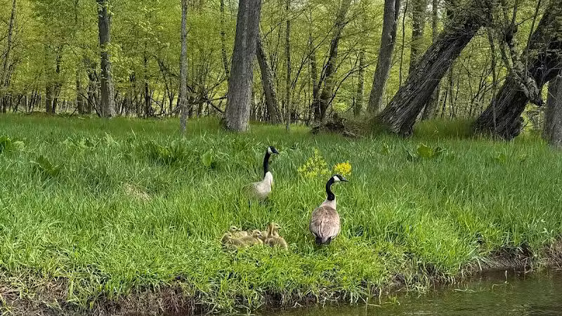 Baldwin Canoe Rental & RV Park - Baldwin, MI