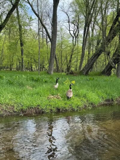 Baldwin Canoe Rental & RV Park - Baldwin, MI