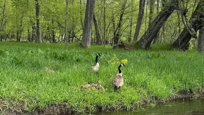 Baldwin Canoe Rental & RV Park - Baldwin, MI