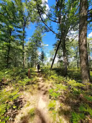 76th St Trailhead NCT - Baldwin, MI