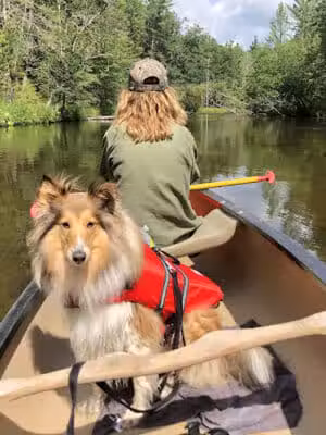 Baldwin Canoe Rental & RV Park - Baldwin, MI
