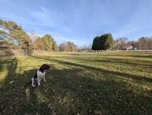Romp and Play Dog Park - Ballston Spa, NY