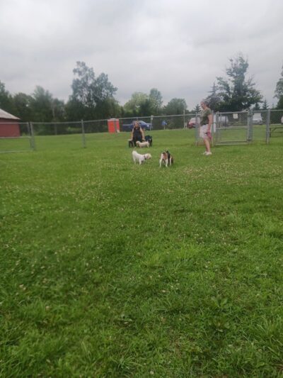 Romp and Play Dog Park - Ballston Spa, NY