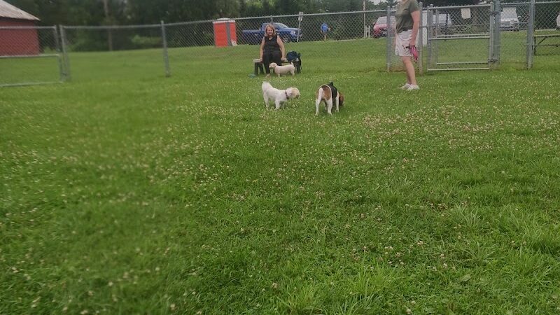 Romp and Play Dog Park - Ballston Spa, NY