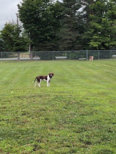 Romp and Play Dog Park - Ballston Spa, NY