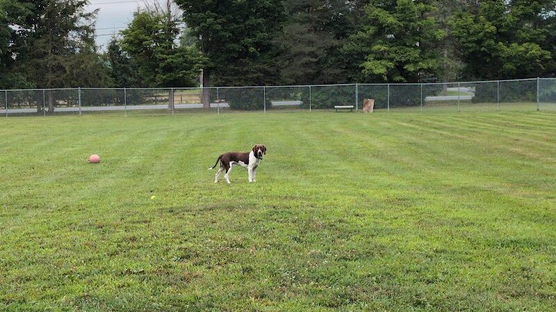 Romp and Play Dog Park - Ballston Spa, NY