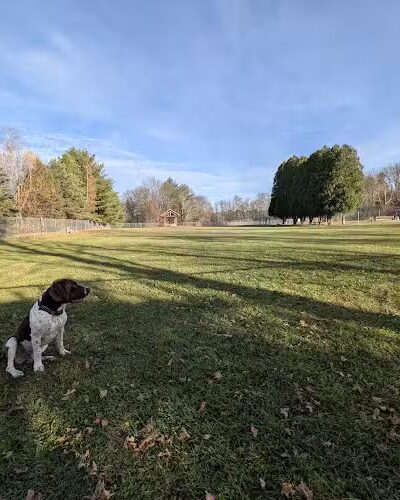 Romp and Play Dog Park - Ballston Spa, NY