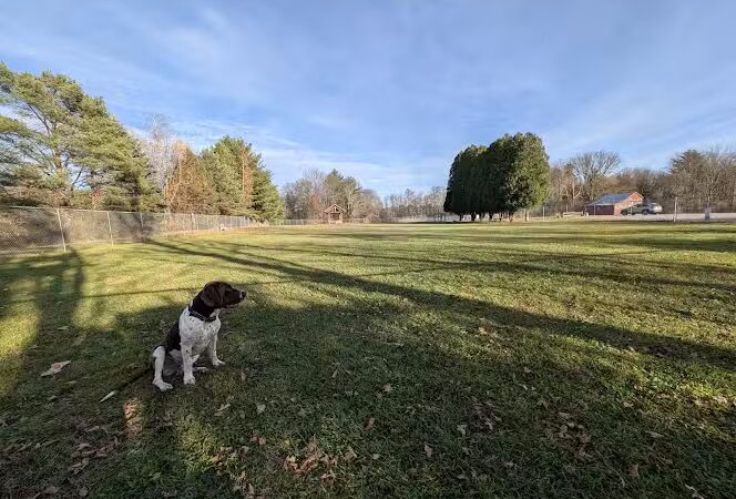 Romp and Play Dog Park - Ballston Spa, NY