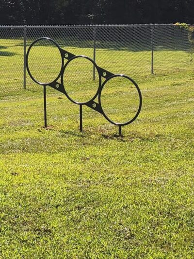 Romp and Play Dog Park - Ballston Spa, NY