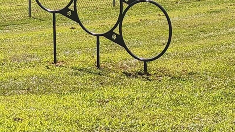 Romp and Play Dog Park - Ballston Spa, NY