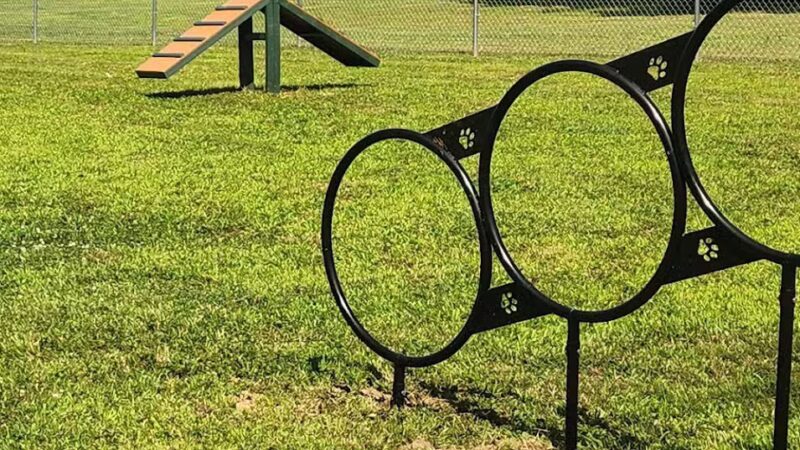 Romp and Play Dog Park - Ballston Spa, NY