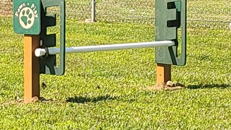 Romp and Play Dog Park - Ballston Spa, NY