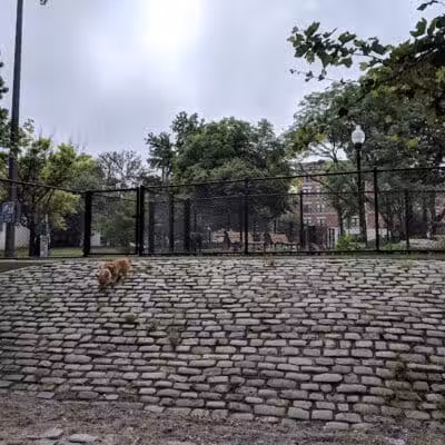 Howard Street Dog Park - Baltimore,