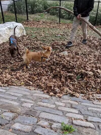 Howard Street Dog Park - Baltimore,