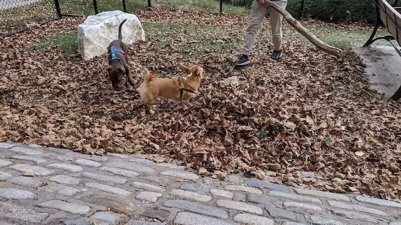 Howard Street Dog Park - Baltimore,