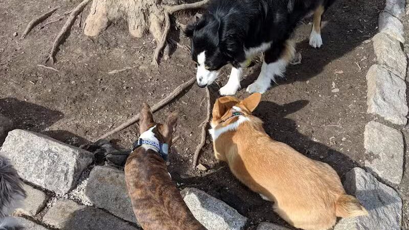 Howard Street Dog Park - Baltimore,