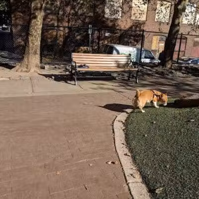 Howard Street Dog Park - Baltimore,