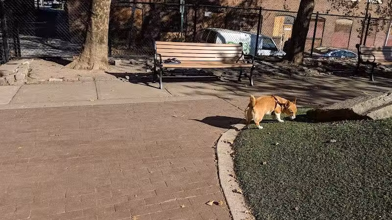 Howard Street Dog Park - Baltimore,