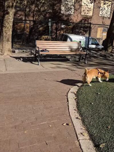 Howard Street Dog Park - Baltimore,