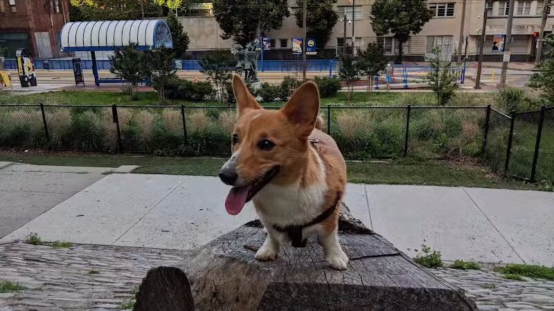 Howard Street Dog Park - Baltimore,