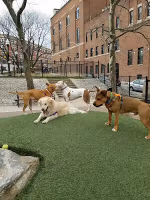 Howard Street Dog Park - Baltimore, MD