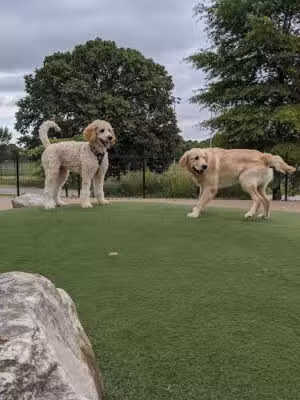Patterson Dog Park - Baltimore, MD