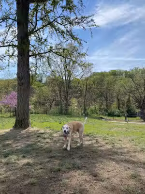 Paw Point Dog Park - Baltimore, MD