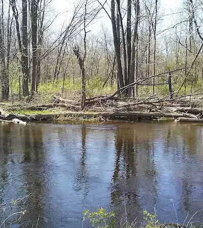 Geeck Rd. County Park - Bancroft, MI