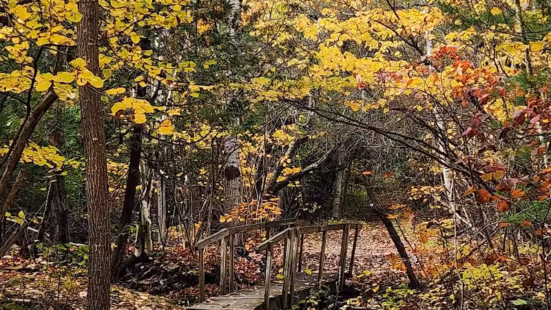 Bangor Dog Park - Bangor,