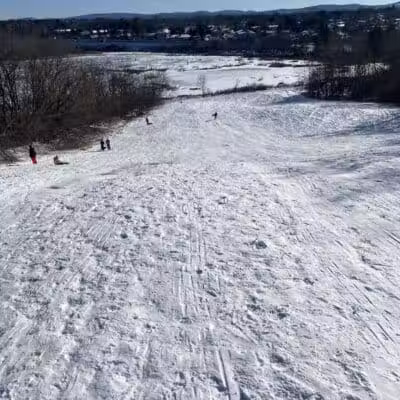 Bangor Dog Park - Bangor,