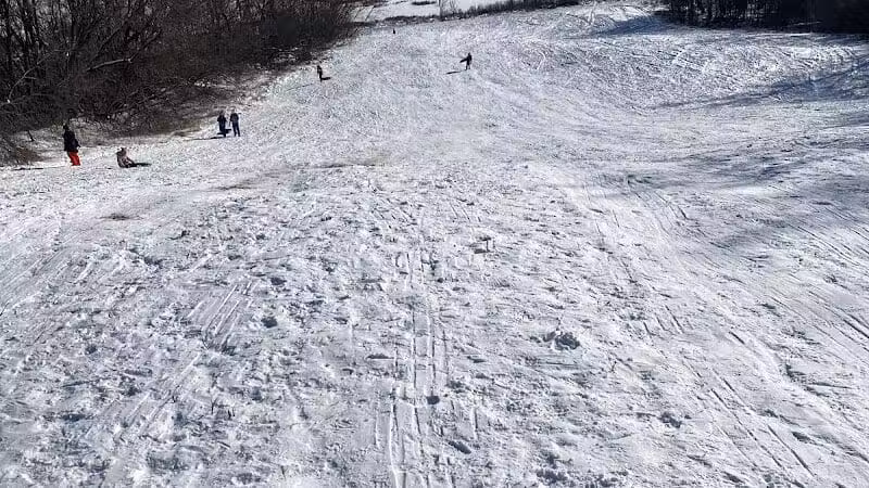 Bangor Dog Park - Bangor,