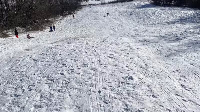 Bangor Dog Park - Bangor,