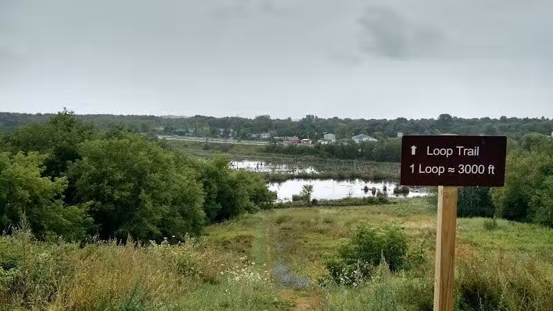 Bangor Dog Park - Bangor,