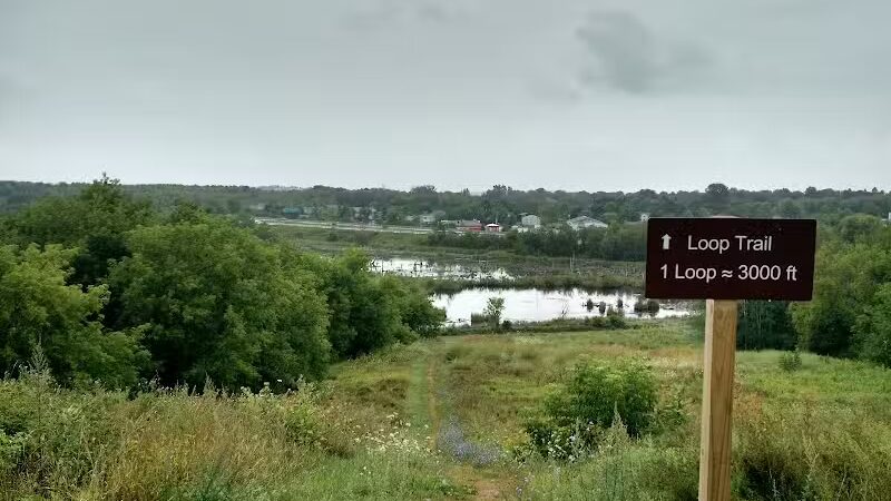 Bangor Dog Park - Bangor,