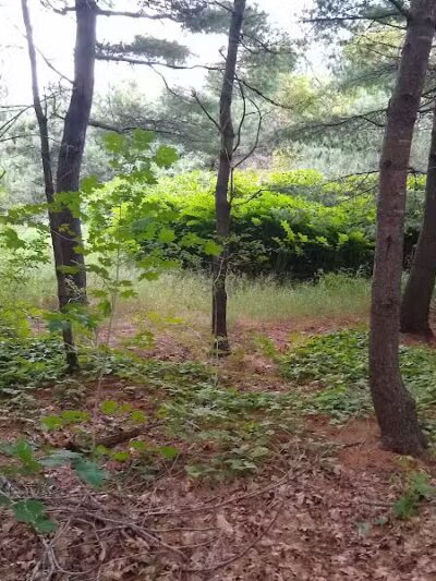 Bangor Dog Park - Bangor,
