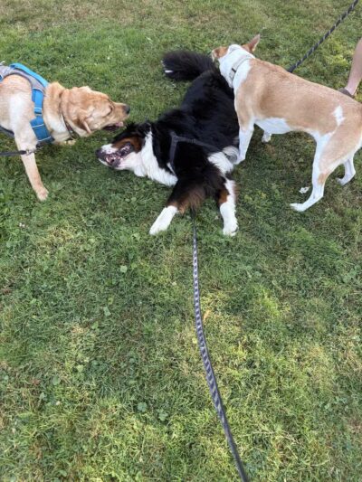 Chapin Park - Bangor, ME