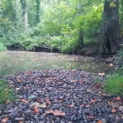 Lions Park - Bangor,