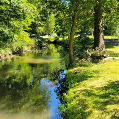 Lions Park - Bangor,