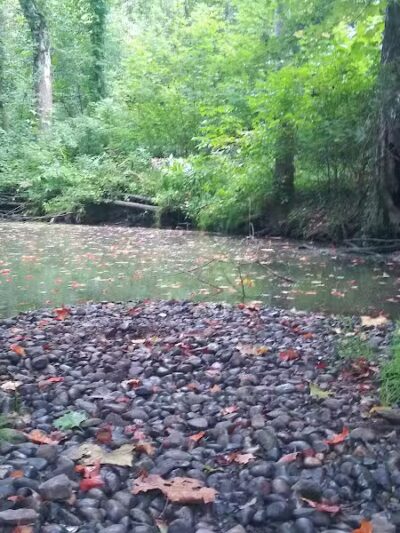 Lions Park - Bangor,