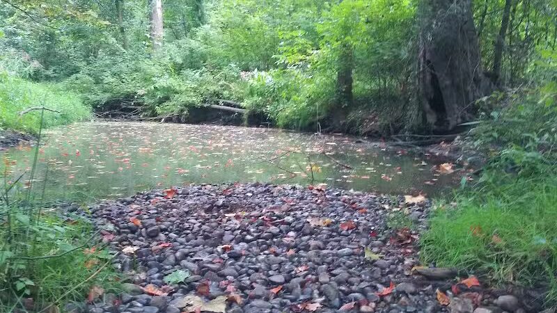 Lions Park - Bangor,