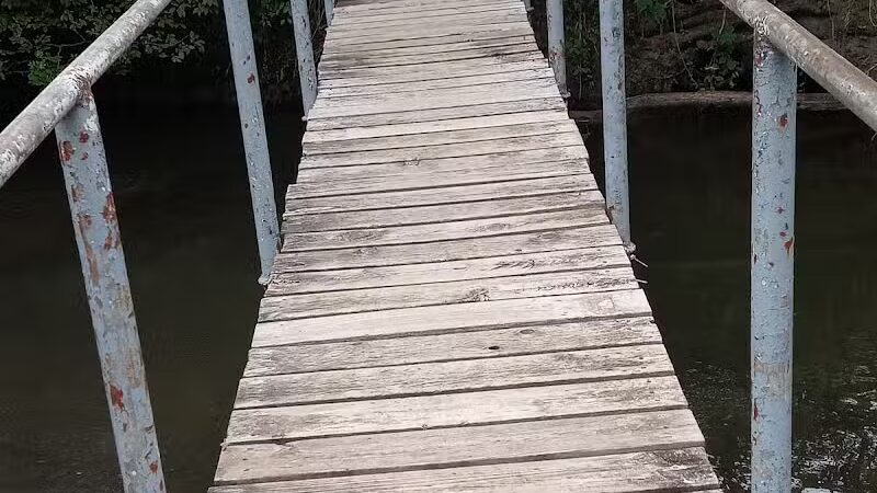 Lions Park - Bangor,