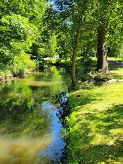 Lions Park - Bangor,
