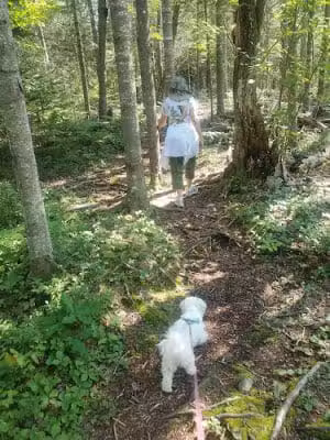 Parking for Bangor City Forest and Orono Bog Walk - Bangor, ME