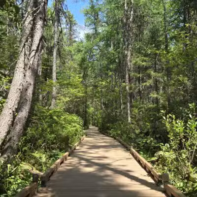 Parking for Bangor City Forest and Orono Bog Walk - Bangor, ME
