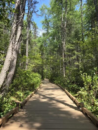 Parking for Bangor City Forest and Orono Bog Walk - Bangor, ME