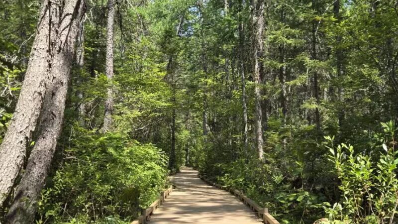 Parking for Bangor City Forest and Orono Bog Walk - Bangor, ME